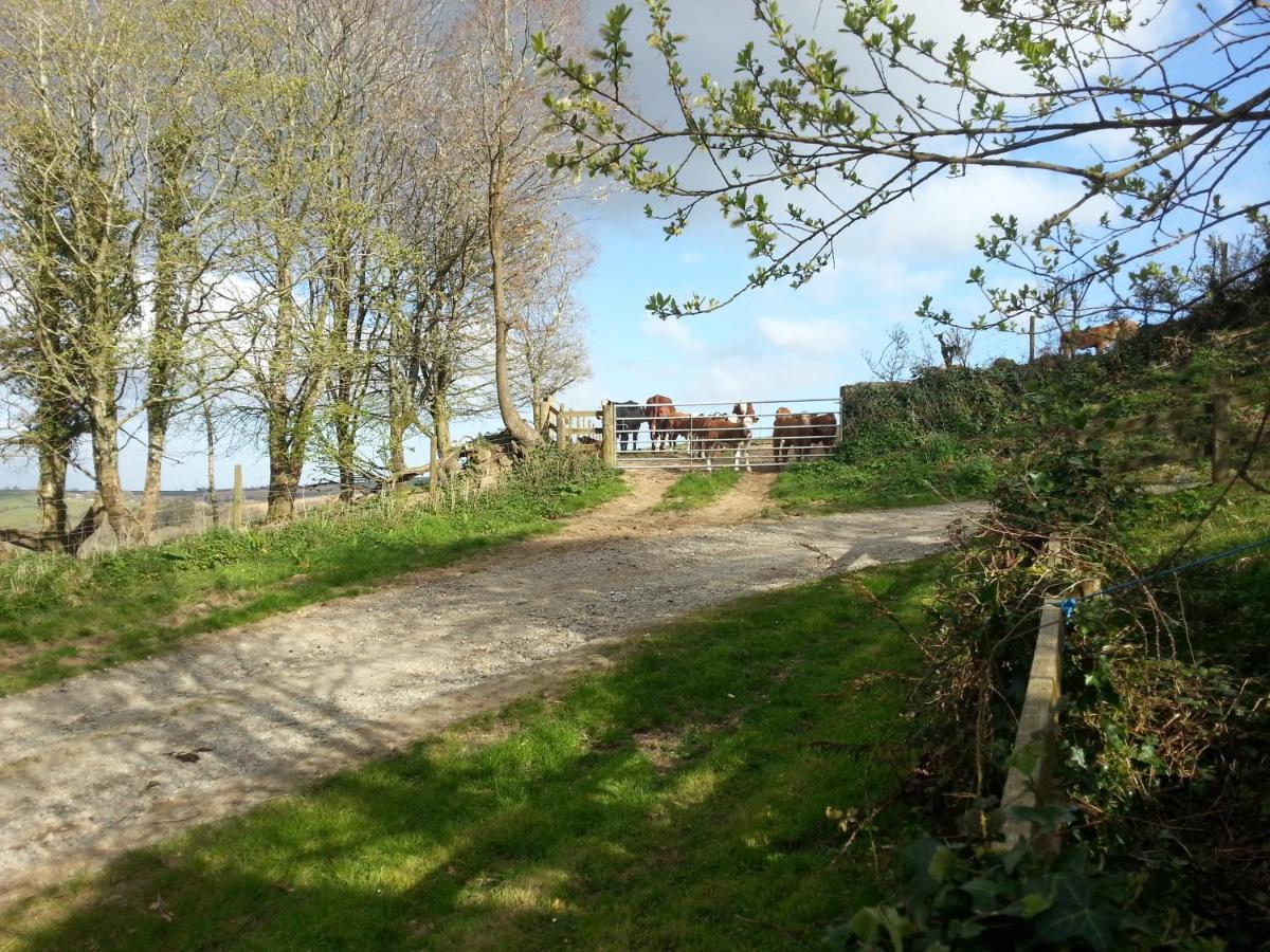 Sunflowers Barn Villa Looe Exterior photo